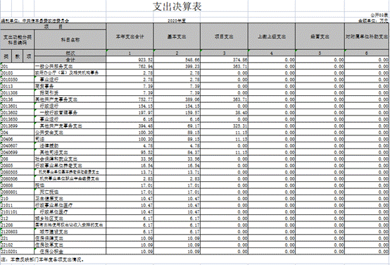 2020年支出决算表