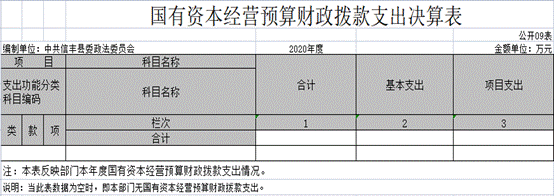 2020年国有资本经营预算财政拨款支出决算表